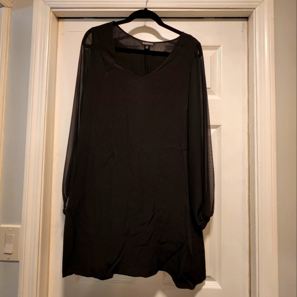 Express long sleeve dress.